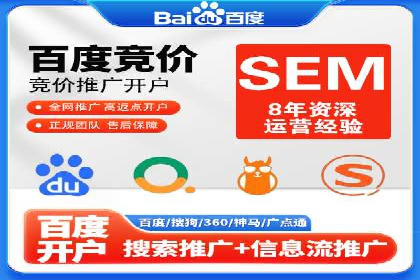百度竞价推广案例：行业领军者成长故事